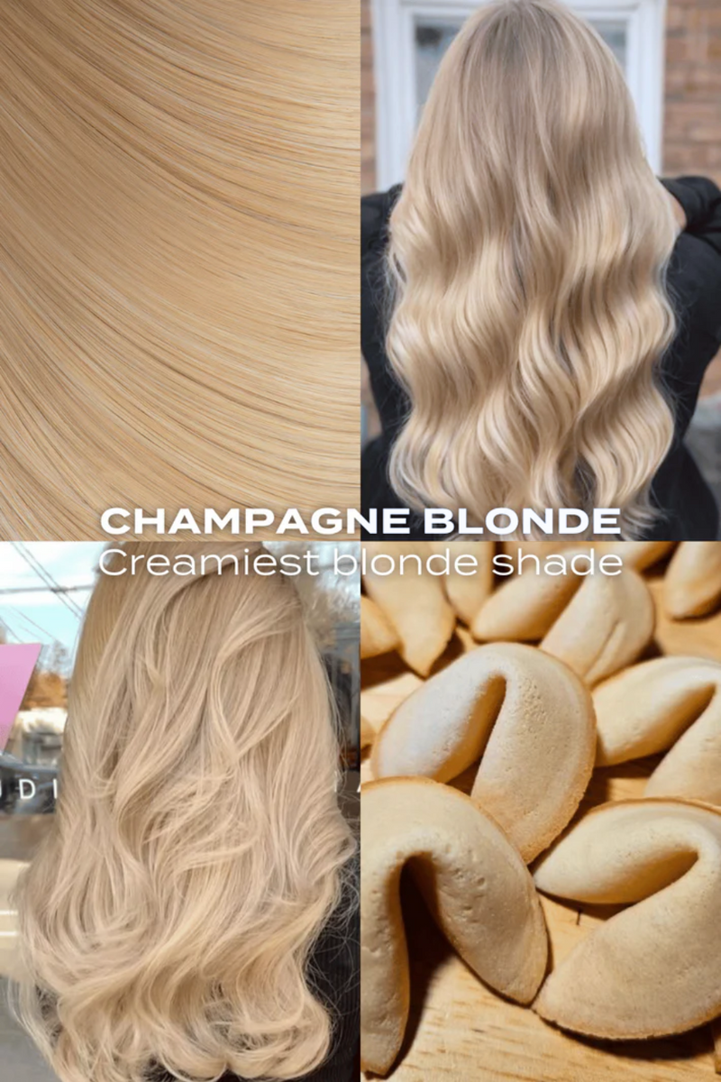 Super Thick 22" 5 Piece Straight Clip In Hair Extensions - BLONDES | CHAMPAGNE BLONDE #3
