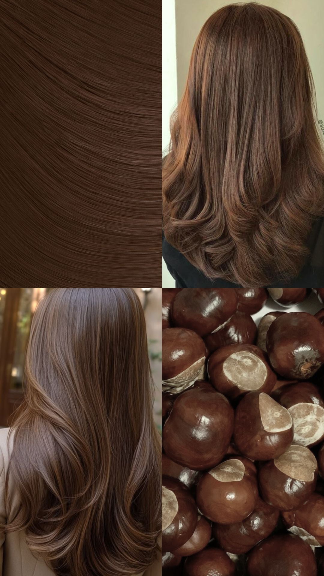 18” 1 Piece Hidden Halo Blow Dry Hair Extensions - BROWNS | CHESTNUT #1