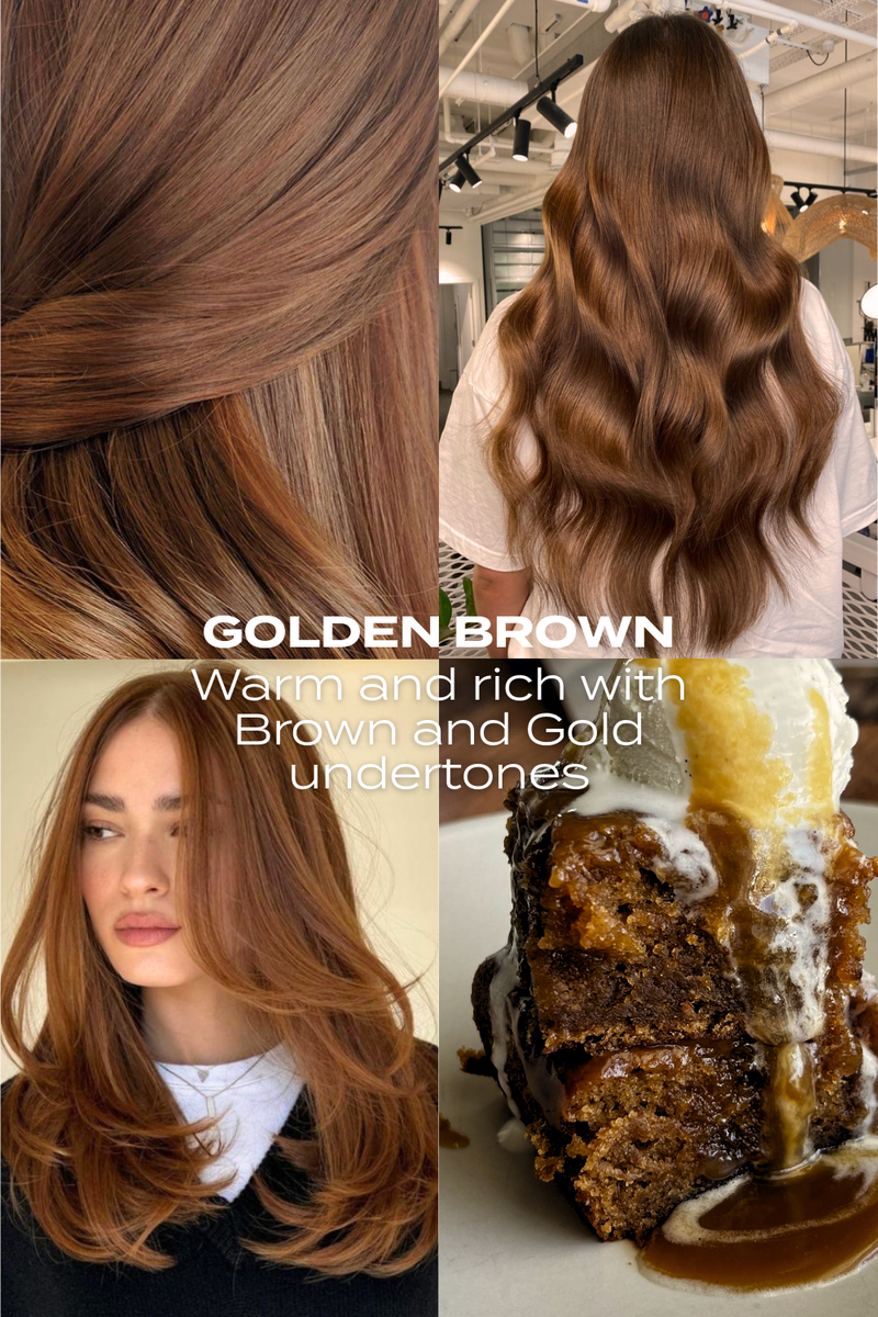 Super Thick 22" 5 Piece Straight Clip In Hair Extensions - BROWNS | GOLDEN BROWN #3