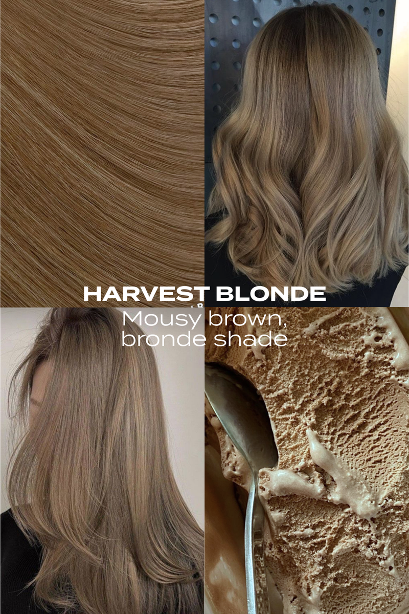 Super Thick 22" 5 Piece Straight Clip In Hair Extensions - BLONDES | HARVEST BLONDE #3